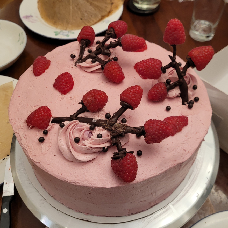 cake 1